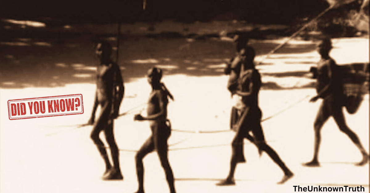The Sentinelese Tribe